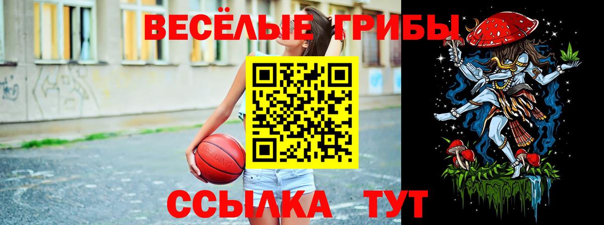 где можно купить   Галлюциногенные грибы Magic Shrooms  Вход с VPN  Галлюциногенные грибы MAGIC MUSHROOMS  Курган 
